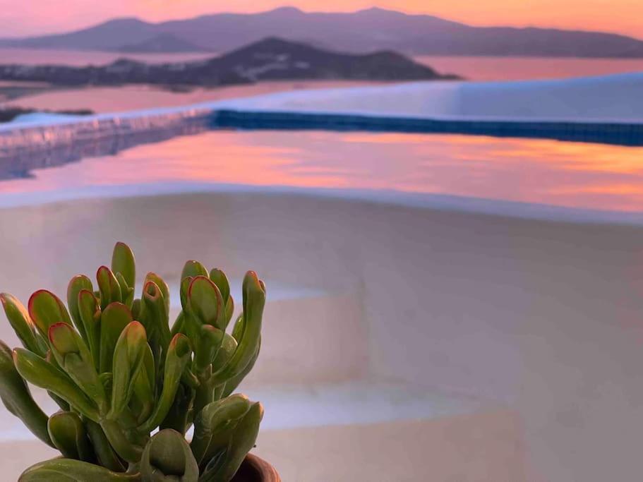 Eye Of Naxos *
